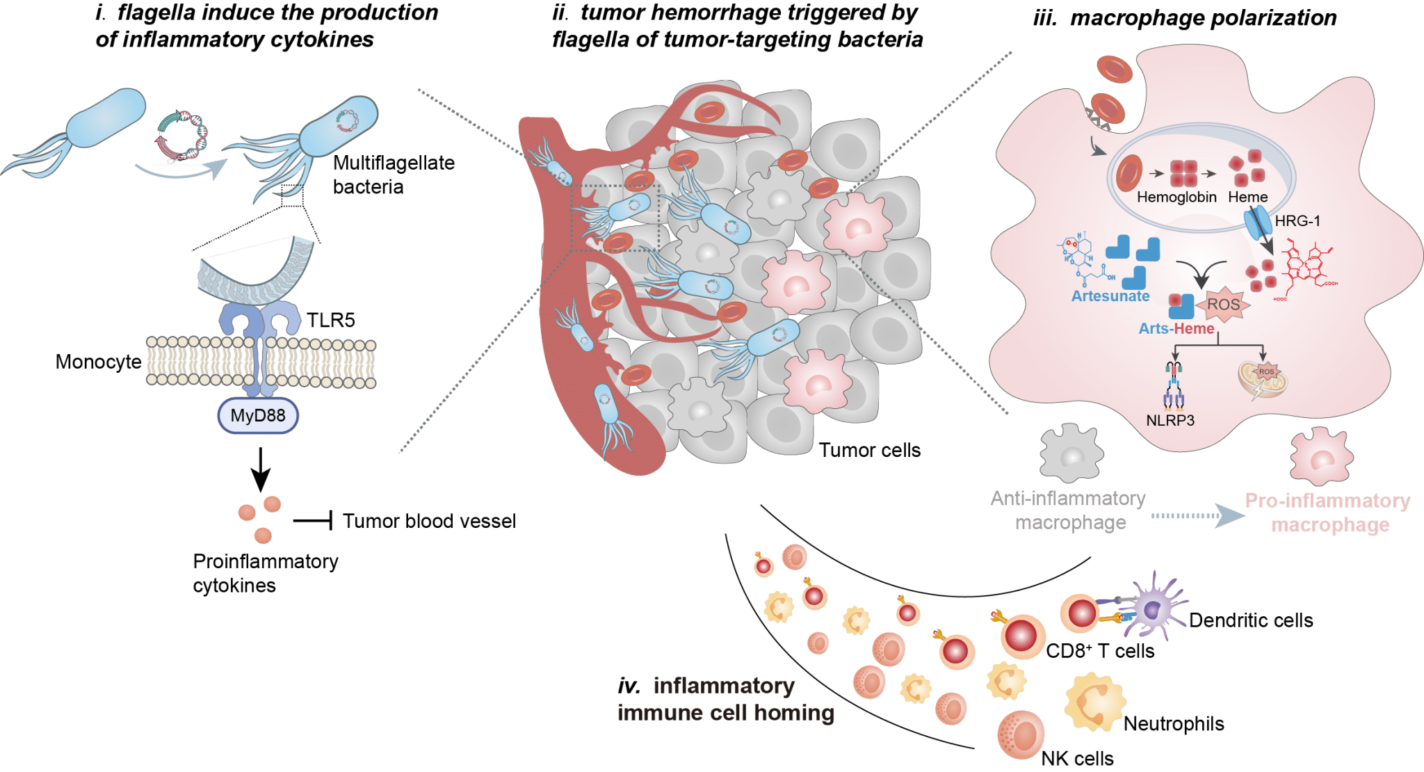 Publication jinhui wu biointelligent medication lab